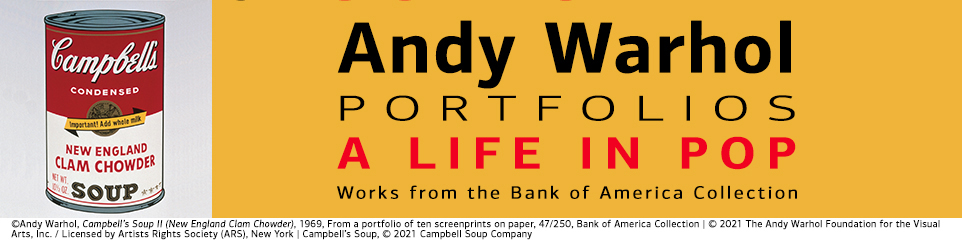 Warhol-yellow-web banner.jpg