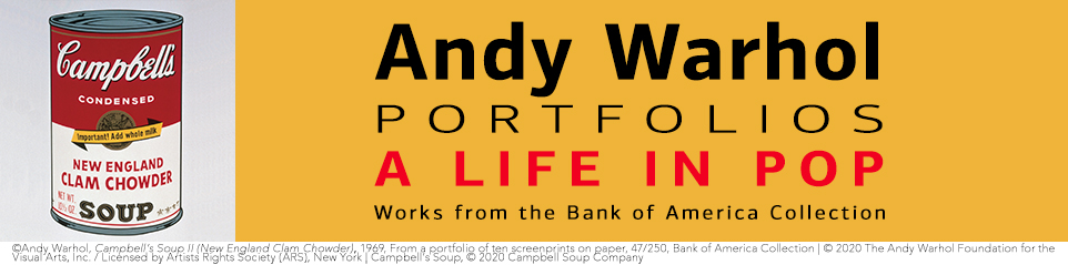 Warhol-yellow-web banner.jpg